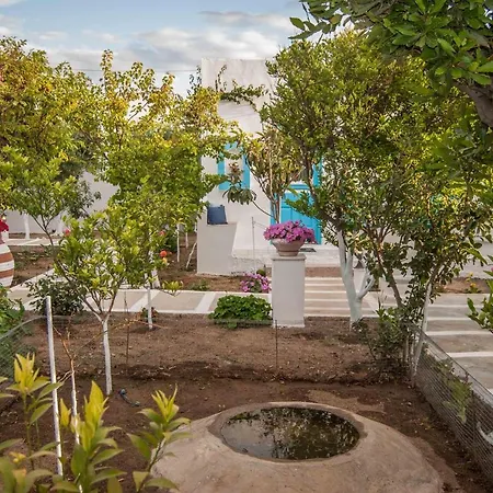 Perivoli 4-chora Apartment