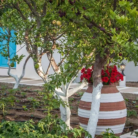 Apartment Perivoli 4-chora