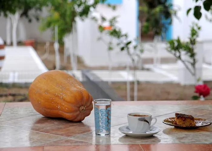 Perivoli 4-chora Apartment *