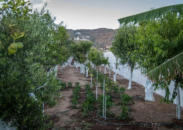 Apartment Perivoli 4-chora Agkidia