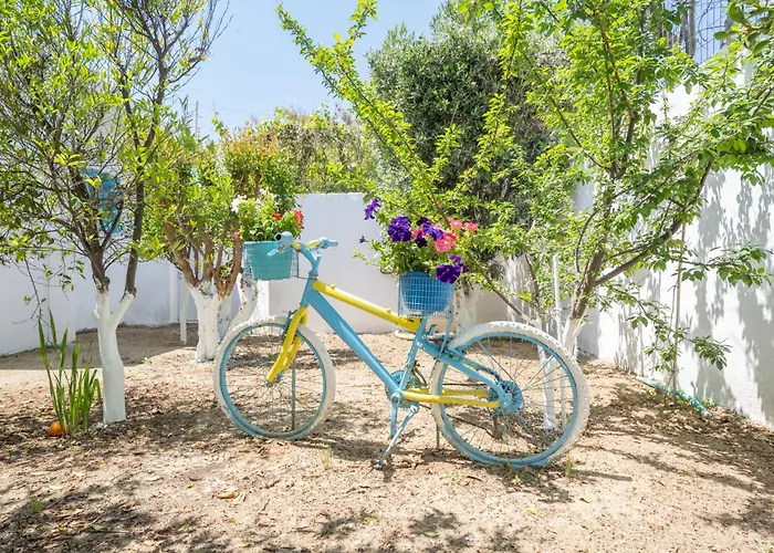 Perivoli 4-chora * Agkidia