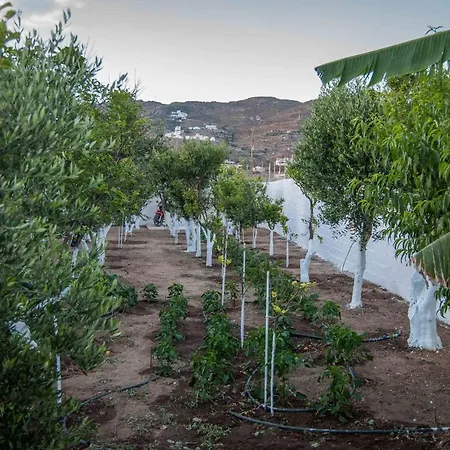 Lägenhet Perivoli 4-chora Agkidia