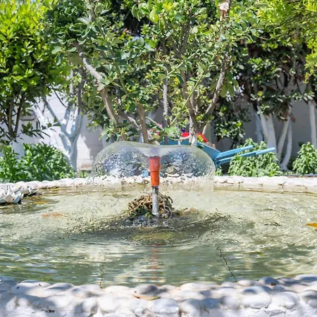 Perivoli 4-chora Agkidia